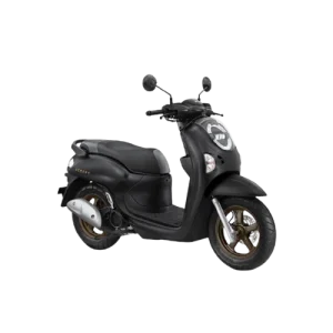 Honda Scoopy